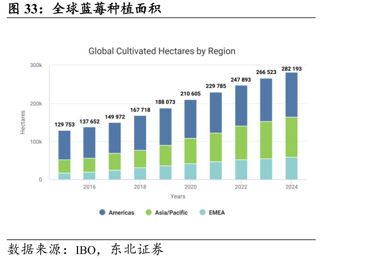 全球蓝莓种植面积
