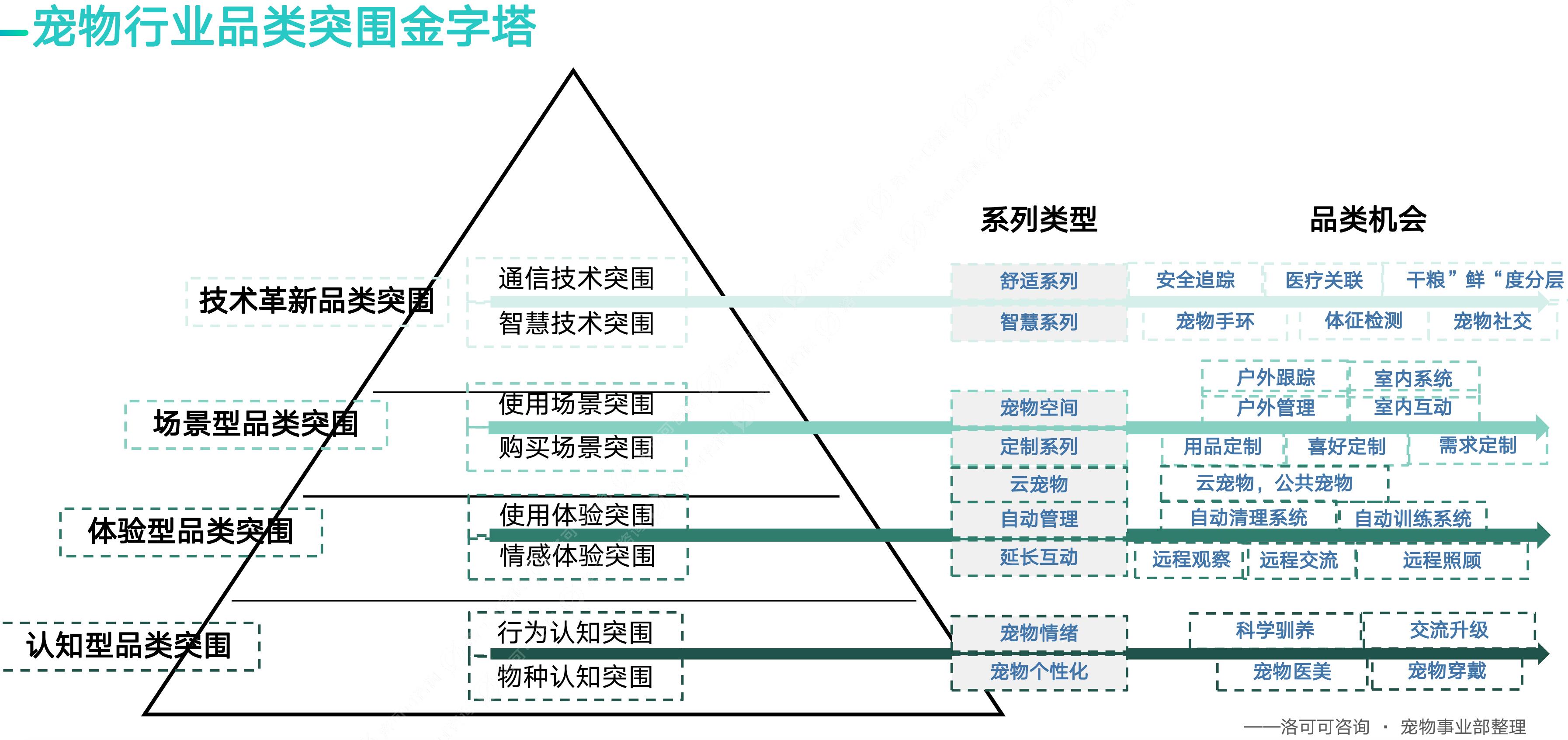 2021年宠物行业主要细分类目购买渗透率_第5页