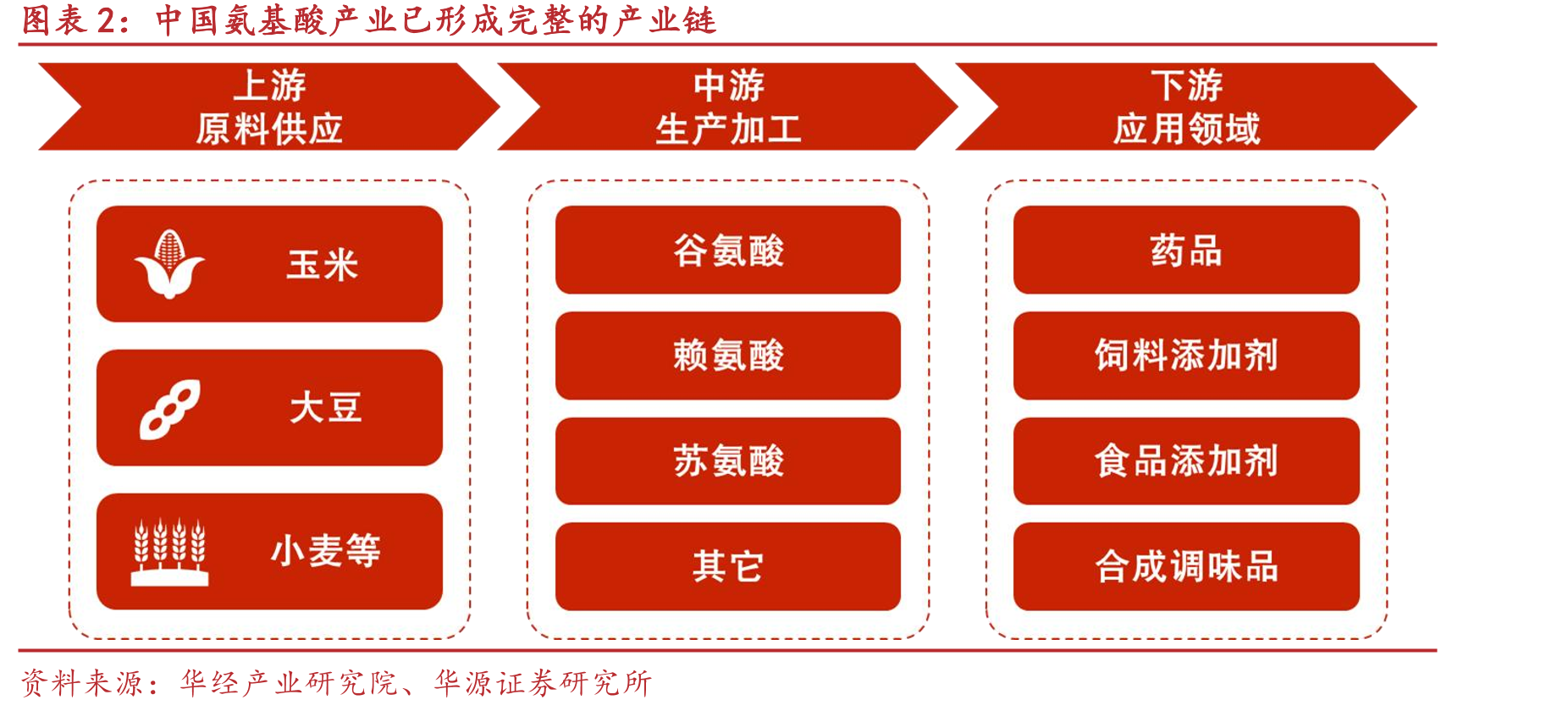 中国氨基酸产业已形成完整的产业链