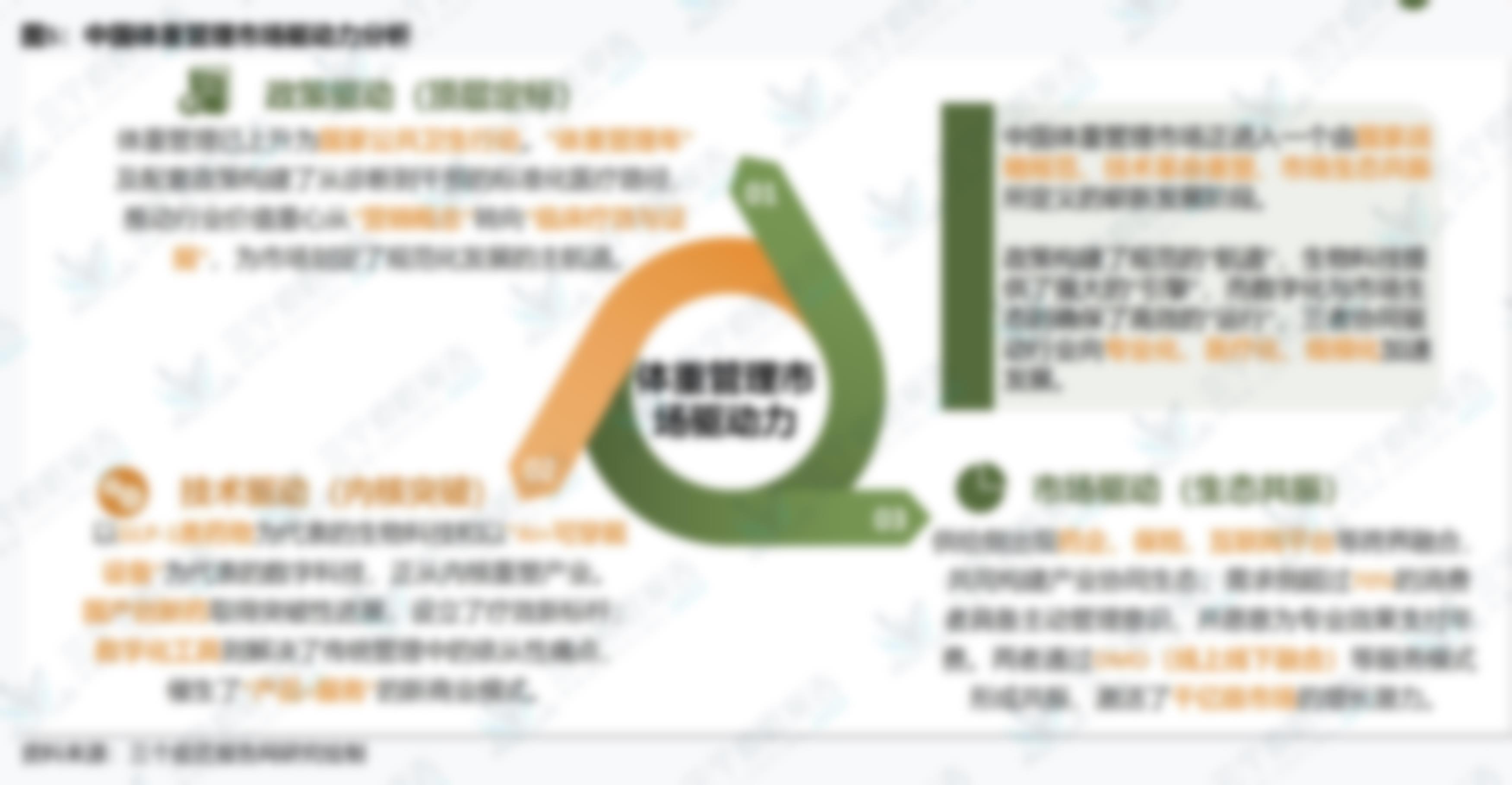 图5：中国体重管理市场驱动力分析