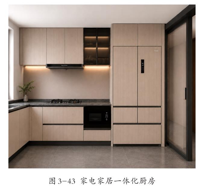 图3-43家电家居一体化厨房