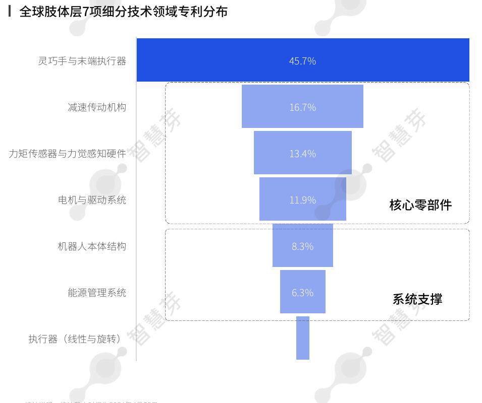 1全球肢体层7项细分技术领域专利分布
