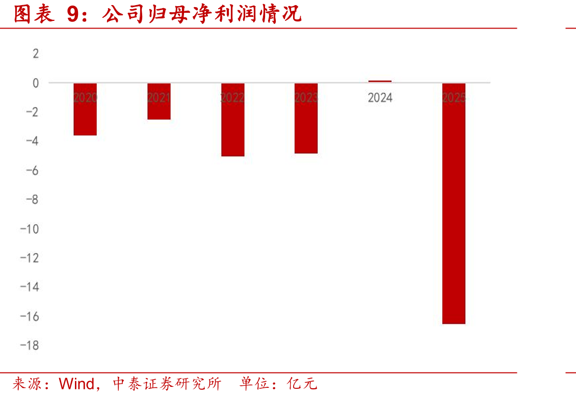 2024年中国电商SaaSERP市场竞争格局（以收入额计）_第5页