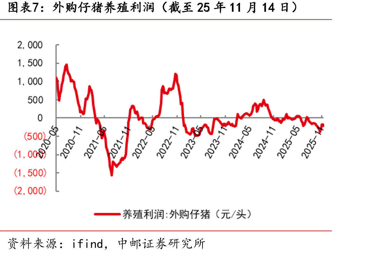 山东烟台毛鸡收购价（截至25年11月14日）_第4页