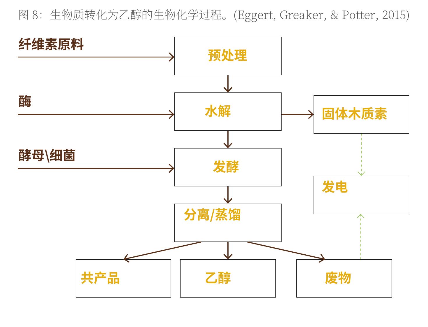 图8：生物质转化为乙醇的生物化学过程。(Eggert,Greaker,& Potter,2015)