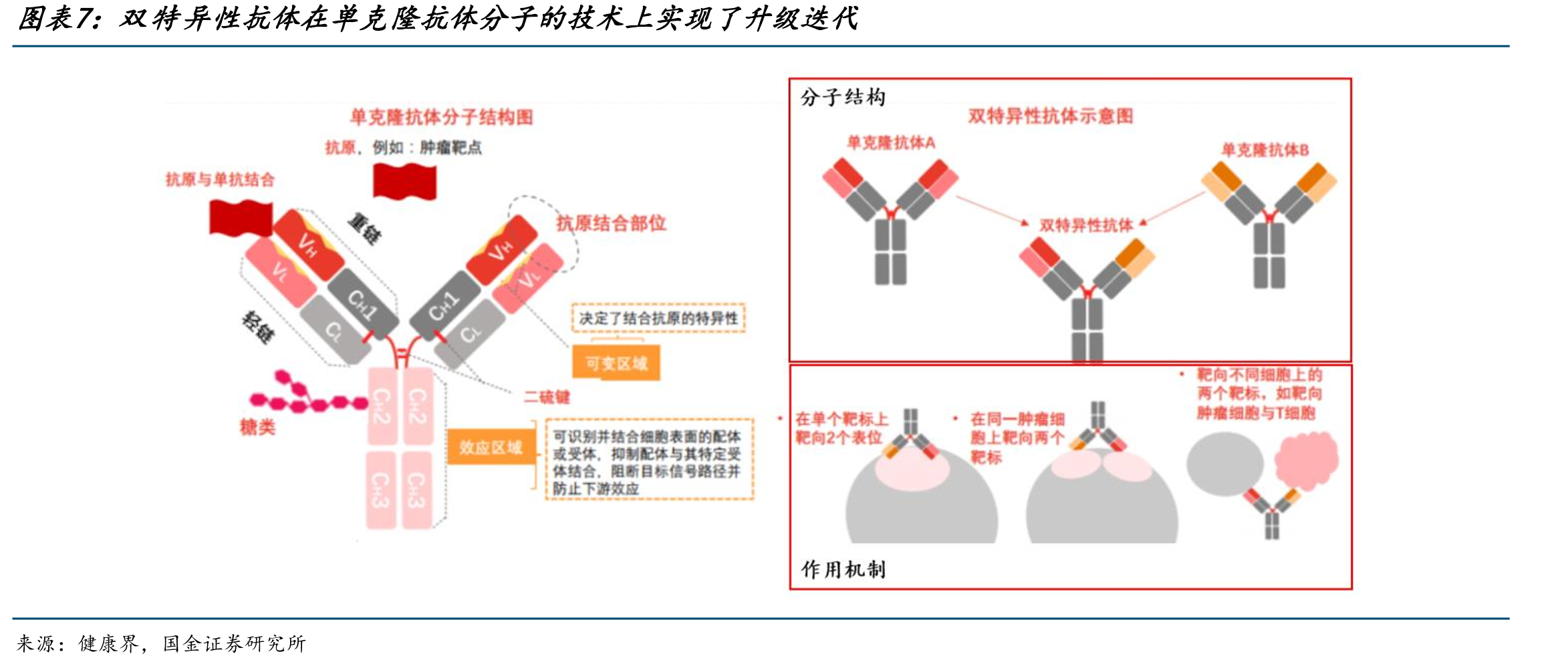无明确驱动基因NSCLC（无论PD-L1表达状态），依沃西PFS数据佳，SSGJ-707的ORR及安全性佳_第5页