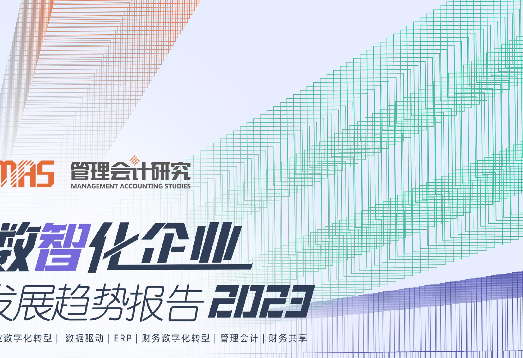 2023年企业数字化转型的趋势_第2页