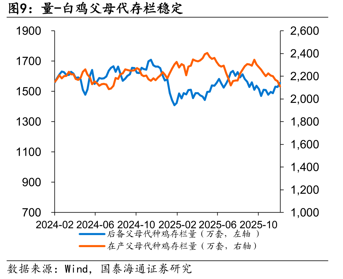量-黄鸡在产祖代存栏低位（万套）_第4页