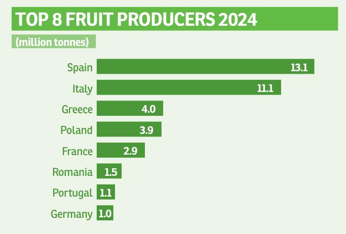 TOP8FRUITPRODUCERS2024