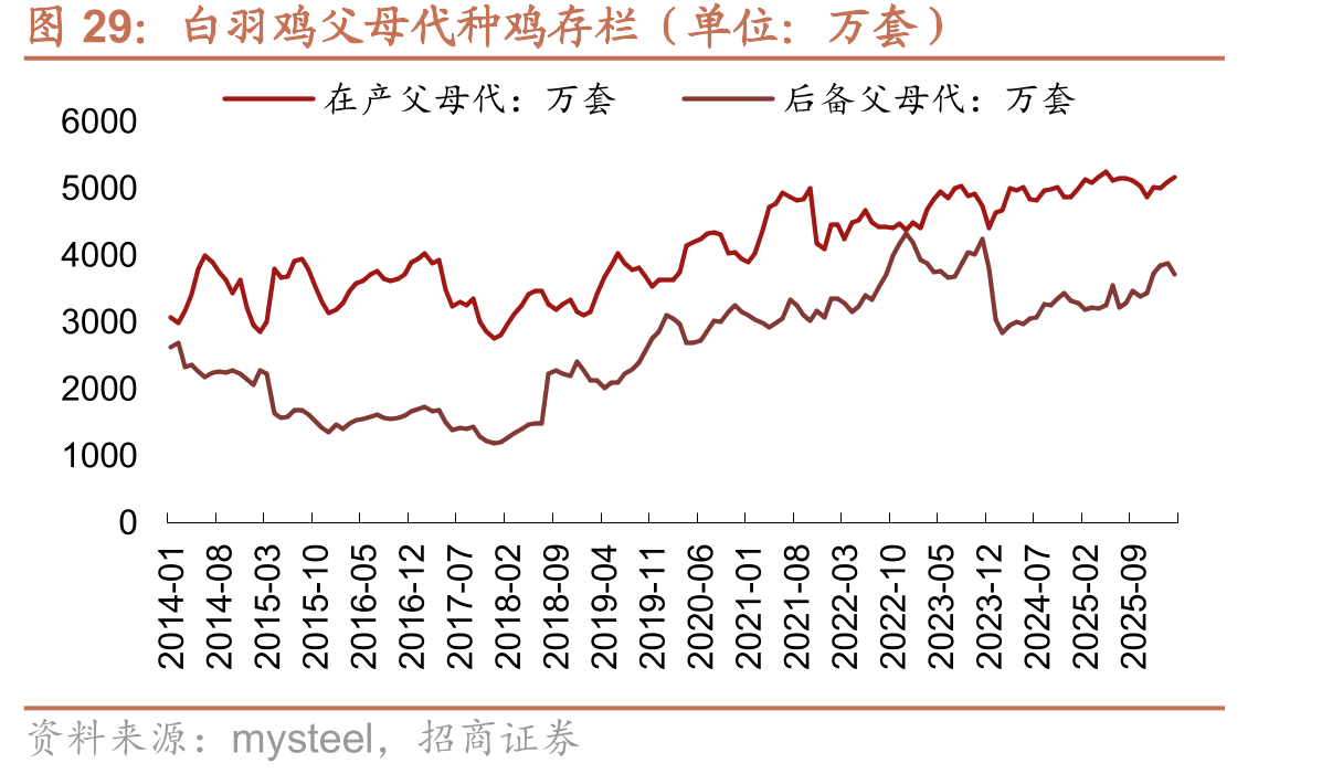 白羽鸡父母代种鸡存栏（单位：万套）