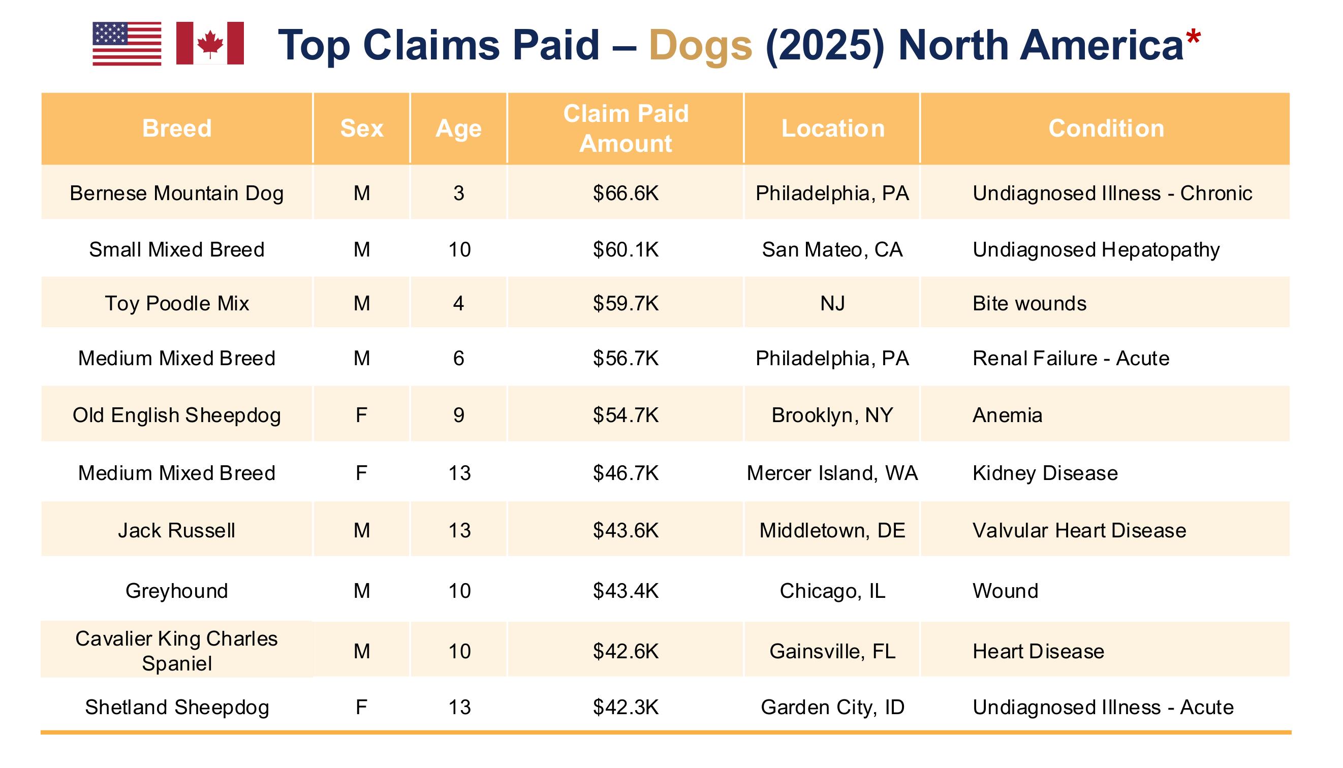 Top Claims Paid - Dogs (2025) North America*