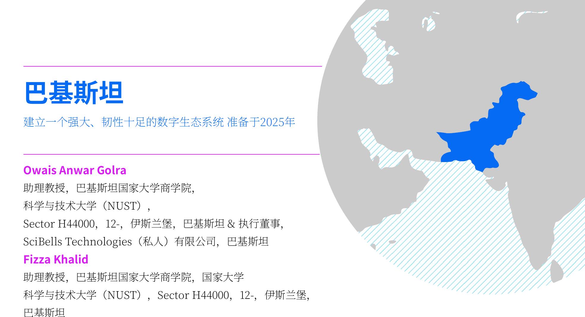 建立一个强大、韧性十足的数字生态系统准备于2025年