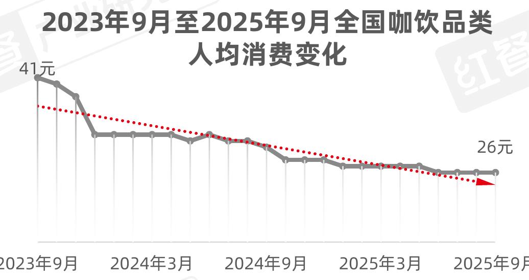 2021一2024年云南省咖啡豆精品化程度_第5页