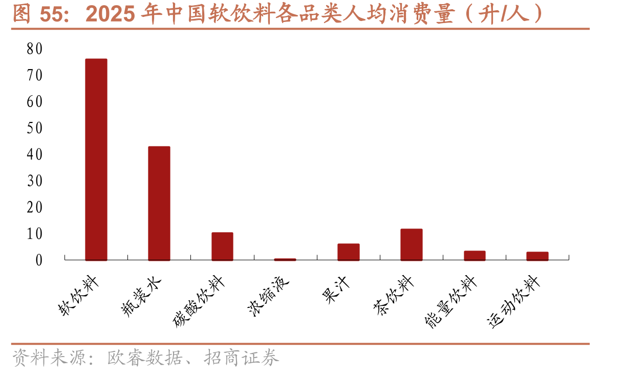 2025年中国软饮料各品类人均消费量（升/人）