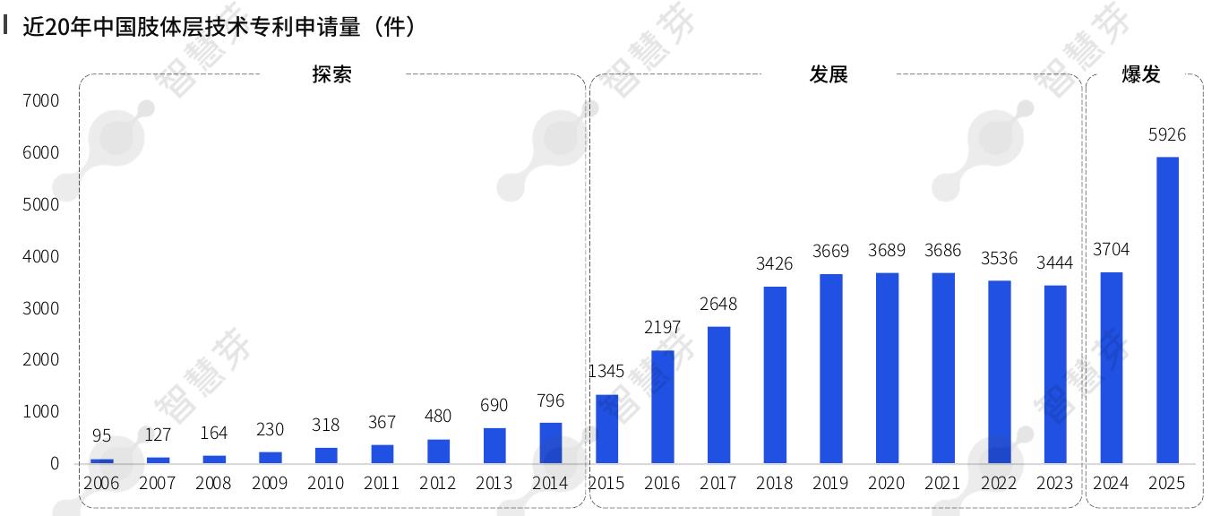 1近20年中国肢体层技术专利申请量（件）