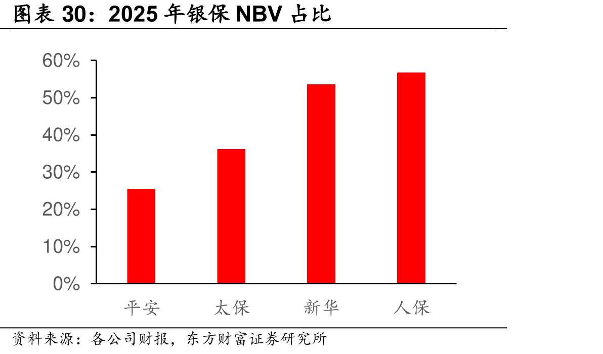 2025年保NBV占比