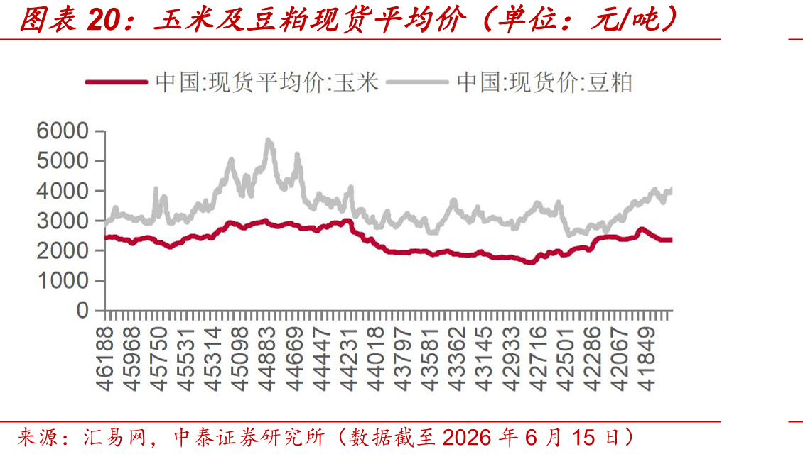 玉米及豆粕现货平均价（单位：元/吨）
