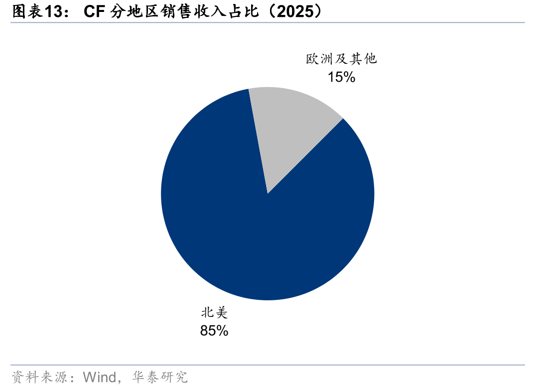 CF分地区销售收入占比（2025）