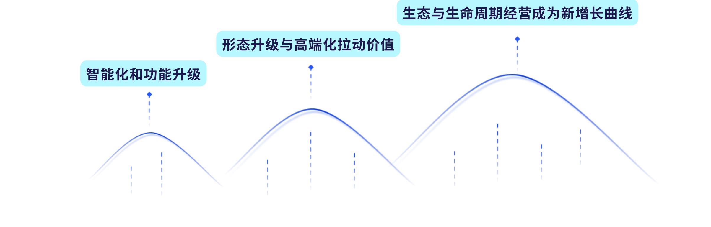 占跨境电商B2C市场份额_第5页
