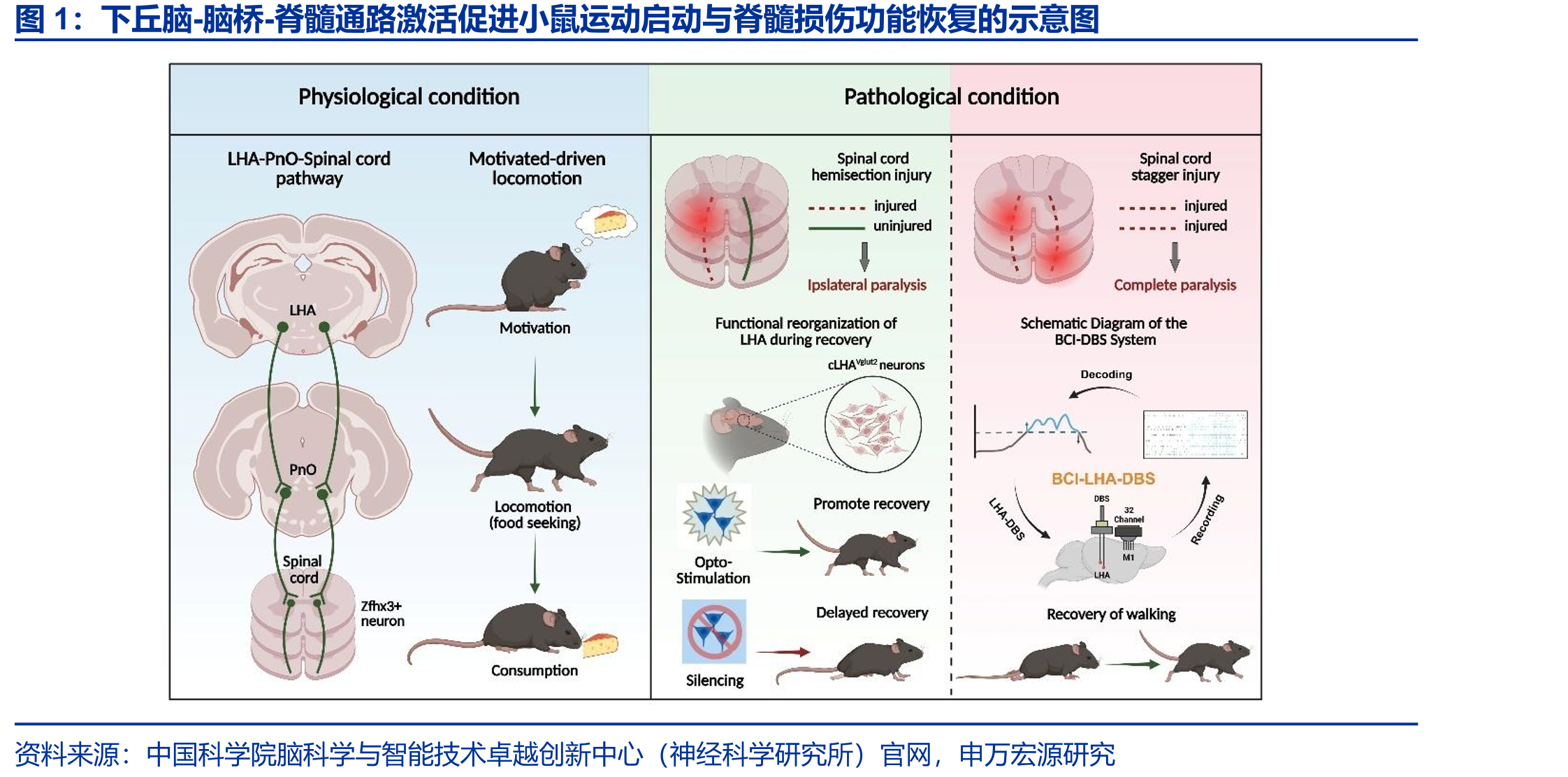 国际组织和推进组织（按照不同地域）_第3页