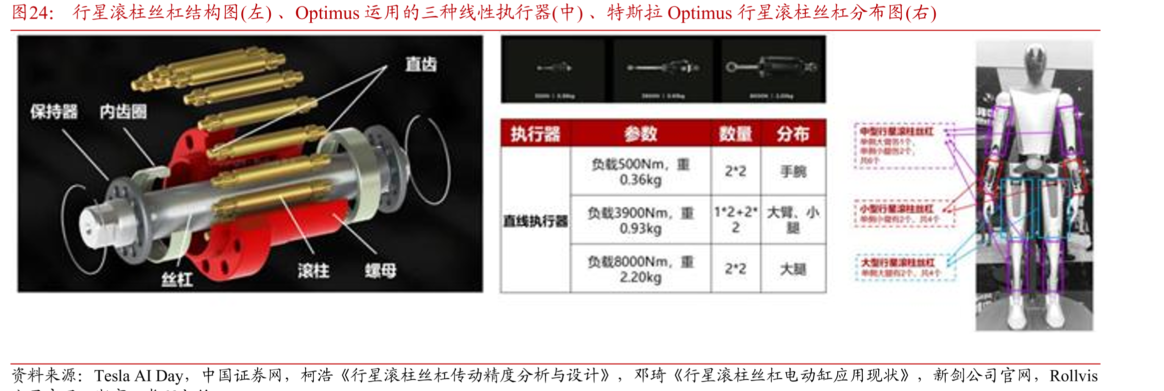 行星滚柱丝杠结构图(左)、Optimus运用的三种线性执行器(中)、特斯拉Optimus行星滚柱丝杠分布图(右)