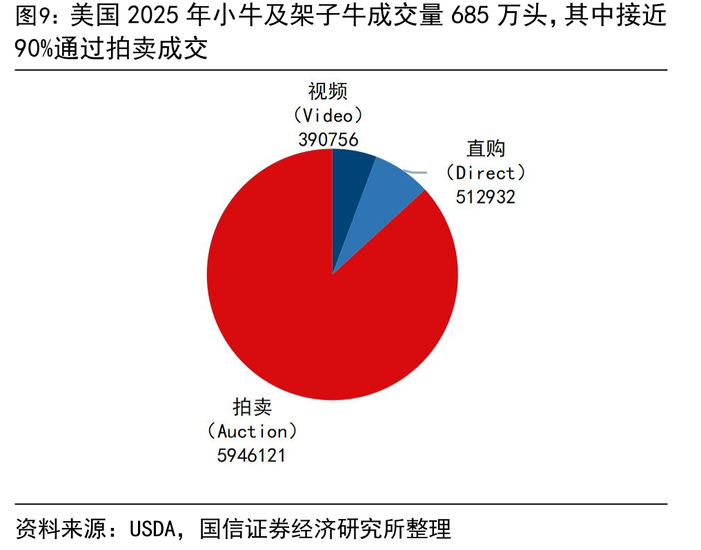 美国2025年小牛及架子牛成交量685万头，其中接近