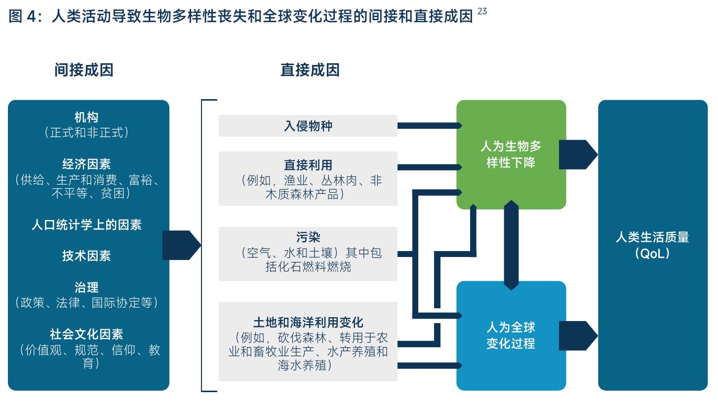 1地球危机 2 转型变革 3自然2030 4路线图 5合作伙伴 6责任 7附件 85_第5页