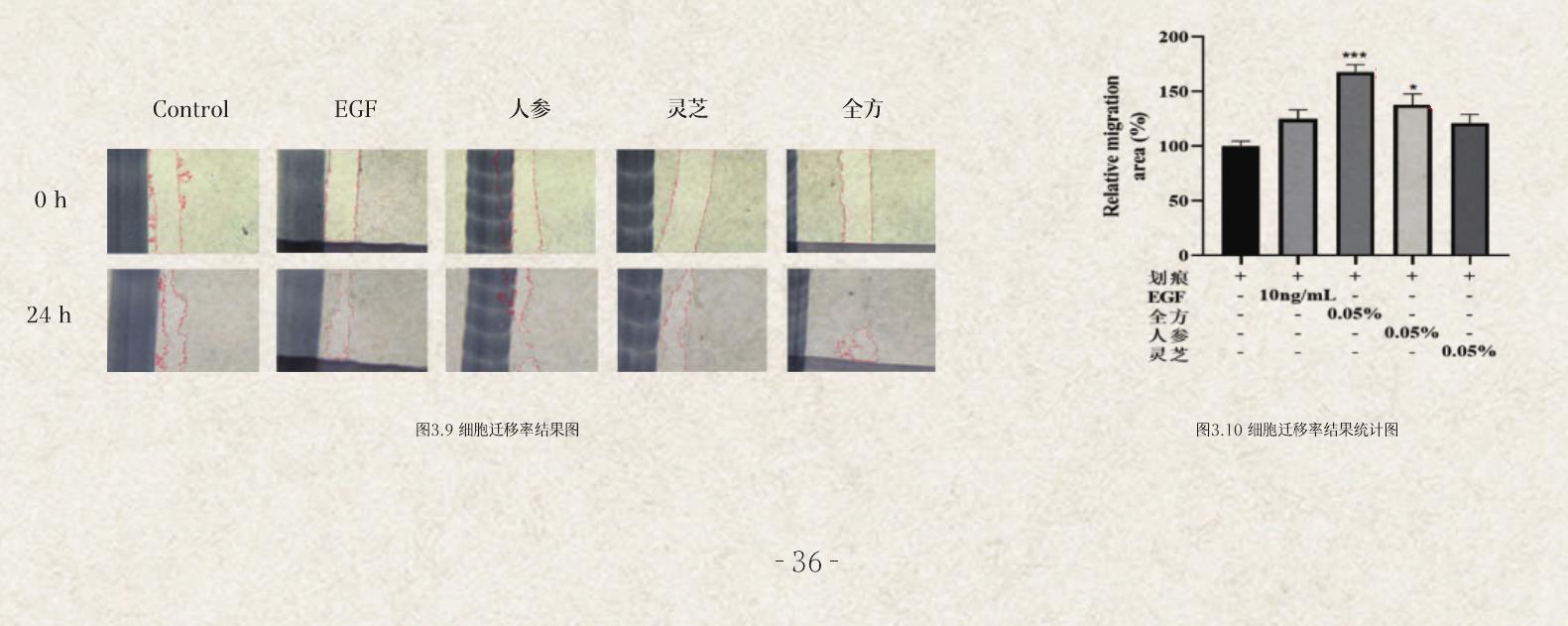 图3.6基底层胶原COL17基因表达情况_第4页