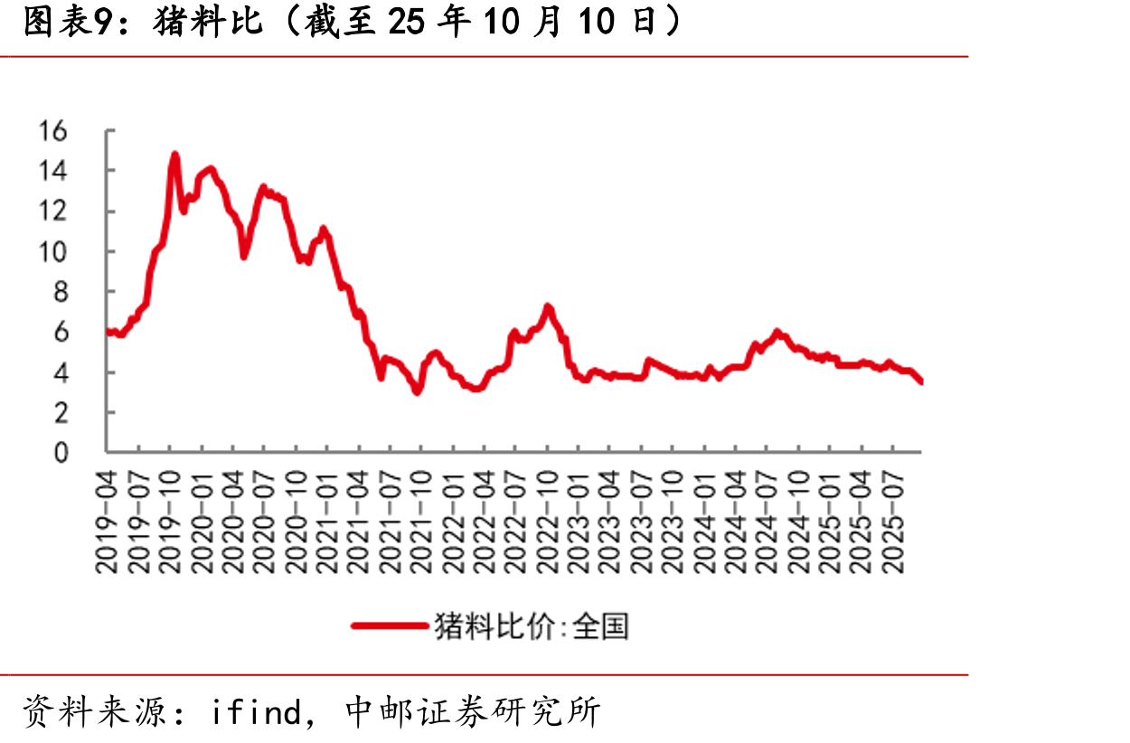 山东烟台毛鸡收购价（截至25年10月11日）_第4页
