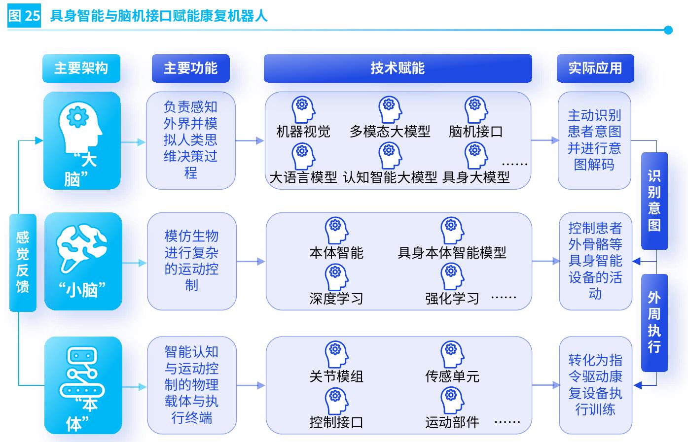 具身智能与脑机接口赋能康复机器人：从意图识别到动作执行的闭环训练