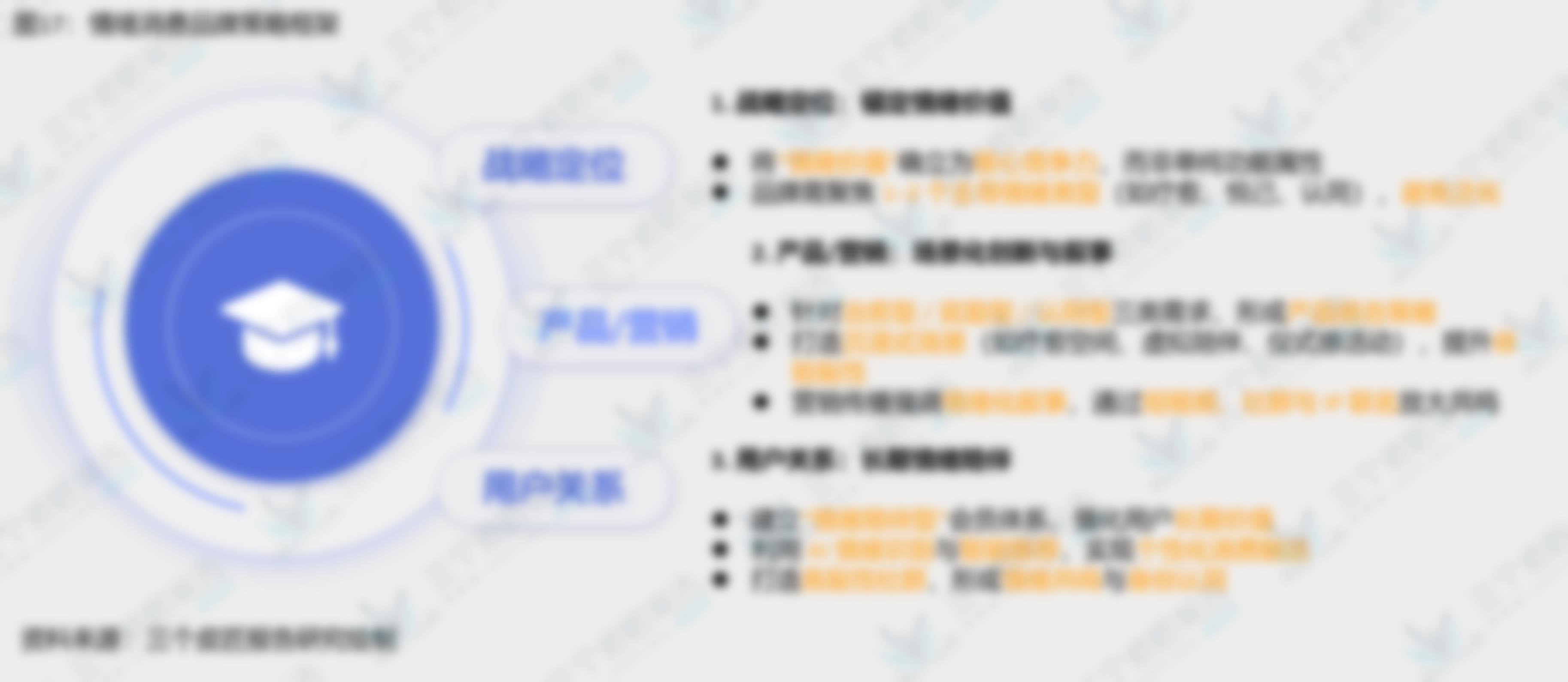 表1：情绪消费市场政策监管体系现状分析与展望_第4页