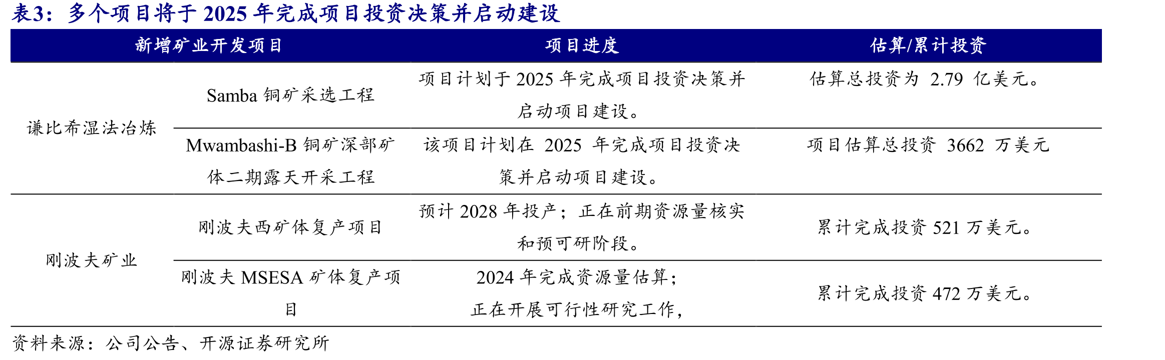 多个项目将于2025年完成项目投资决策并启动建设
