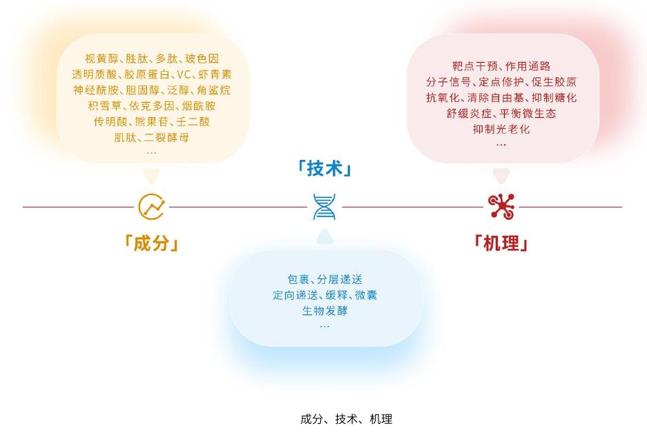 2020-2024年中国女性人群分年龄占比情况（%）_第2页