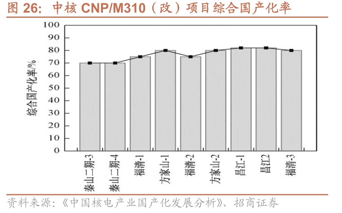 中核CNP/M310（改）项目综合国产化率