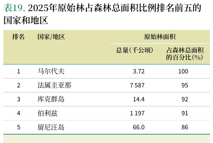 表19.2025年原始林占森林总面积比例排名前五的