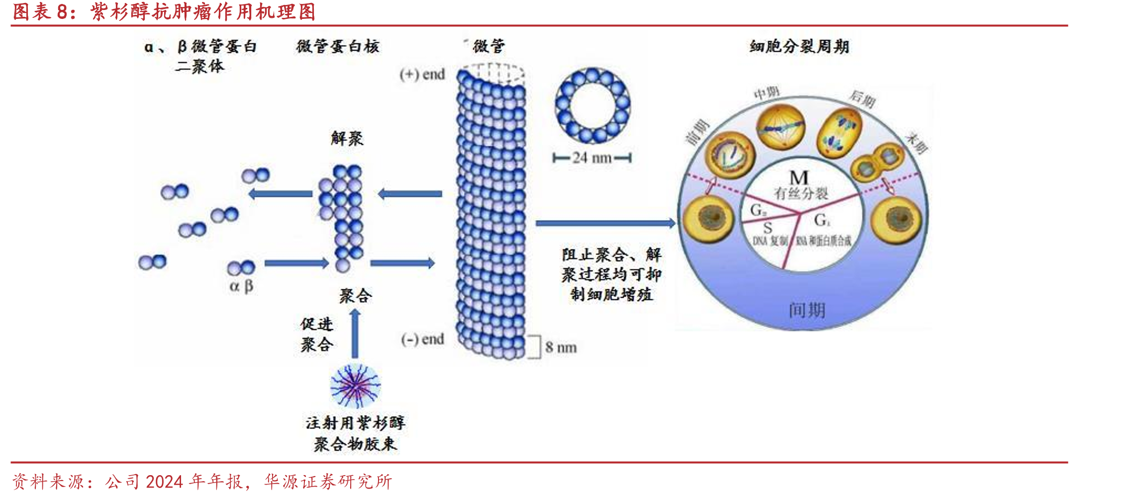 基于PD-1/PD-L1的联合疗法开发趋势（左侧为联合用药靶点，右侧为主靶点）_第3页