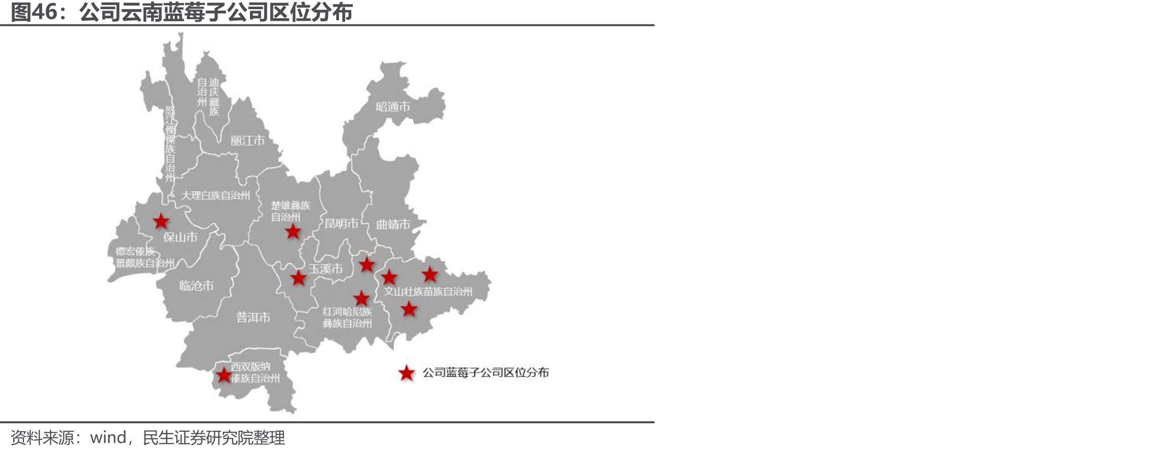 公司云南蓝莓子公司区位分布