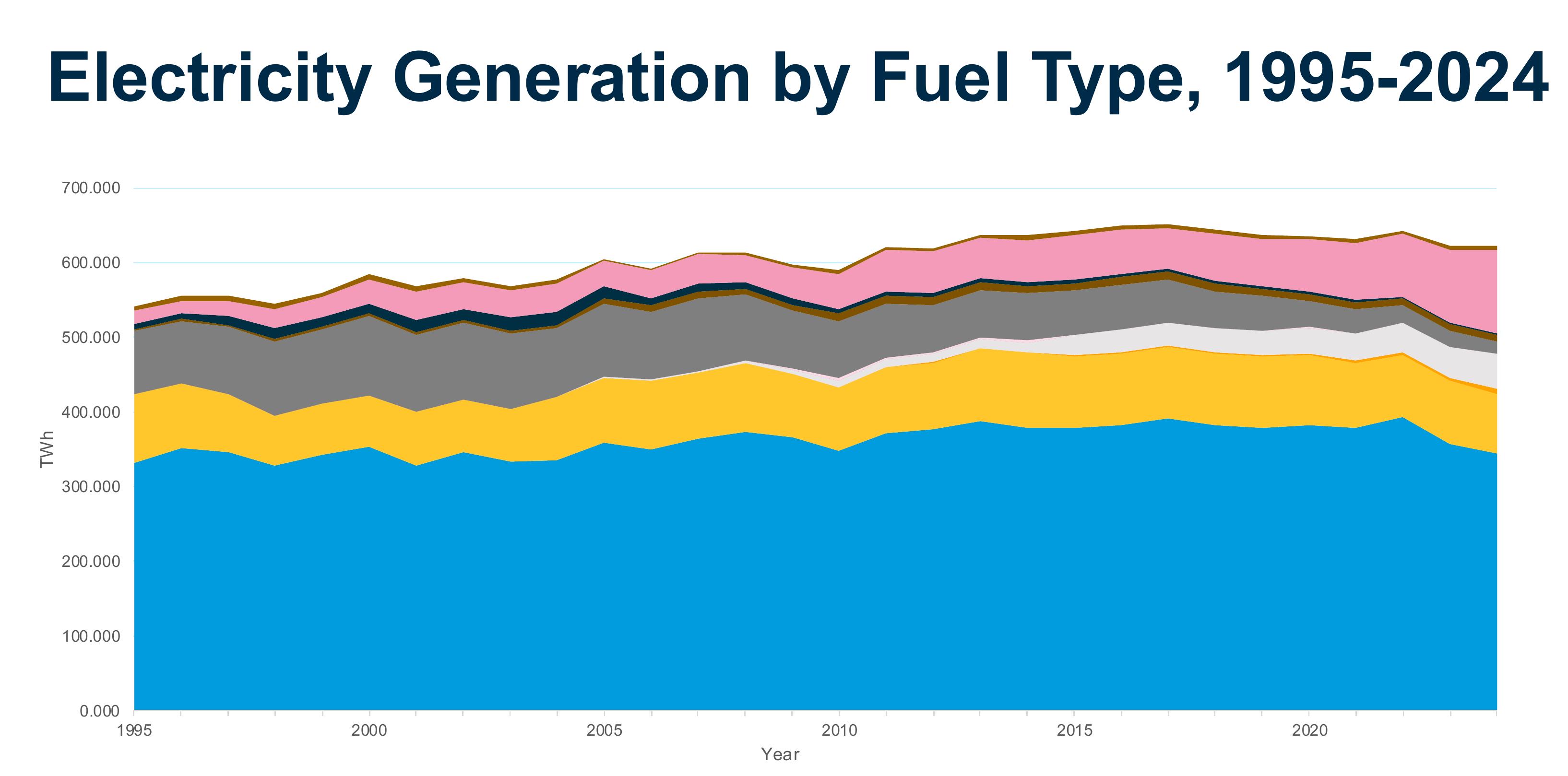 Electricity Generation by Fuel Type, 1995-2024