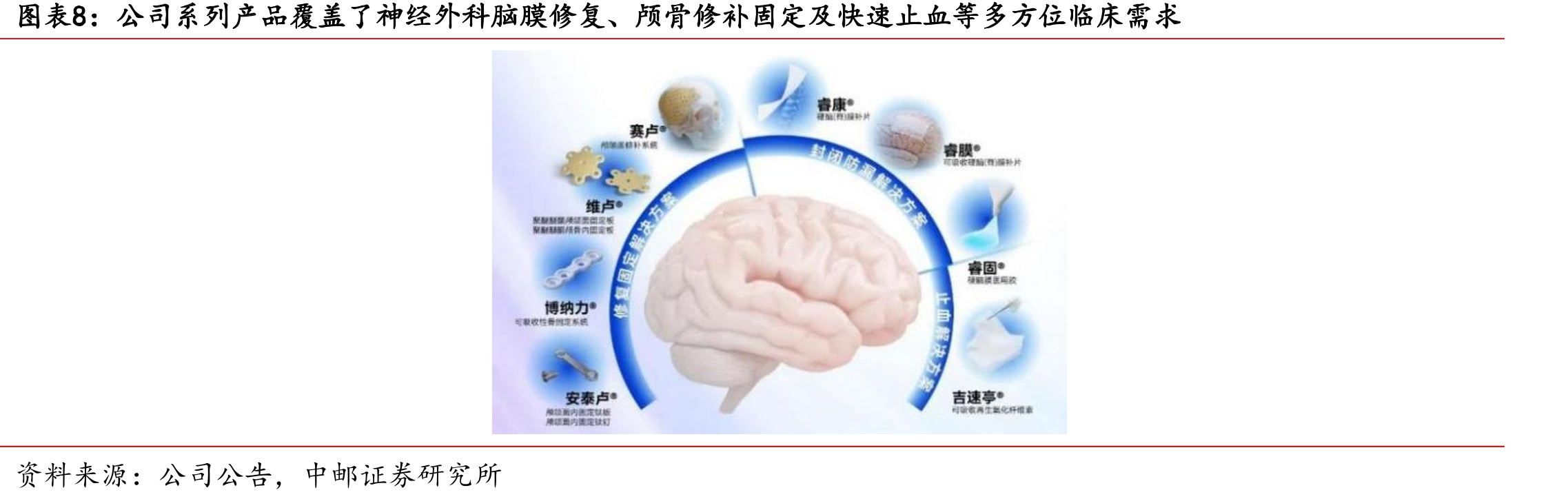赛克赛斯可吸收硬脑膜封合医用胶上市2019年_第4页