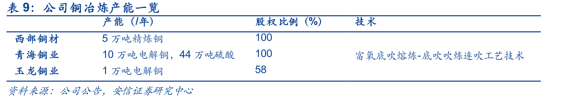 公司主要铁钒矿及储量总览_第2页