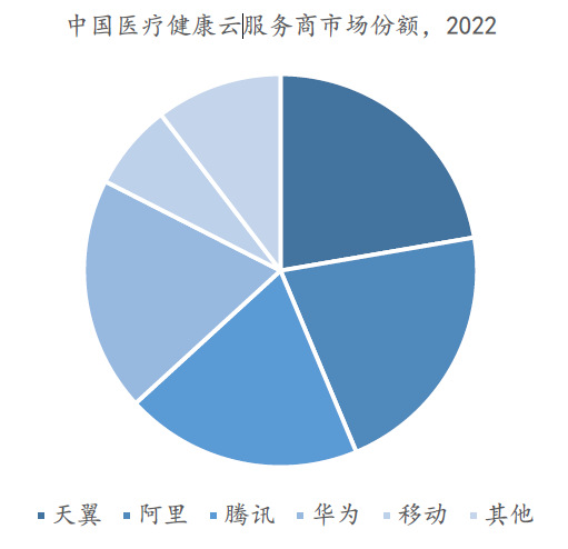 中国医疗健康云服务商市场份额，2022