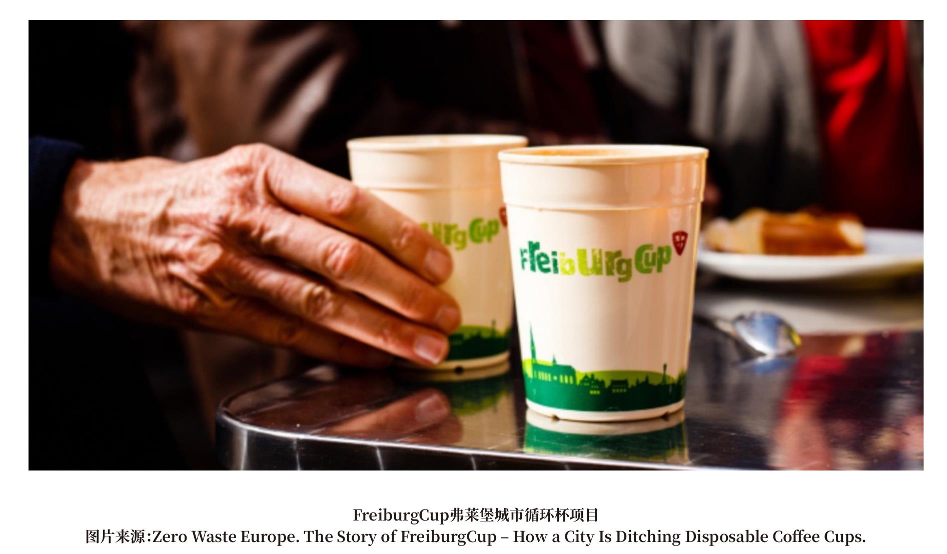 家应努力实现至少10%的产品使用可重复使用包装。欧盟也鼓励成员国政府根据自身_第3页