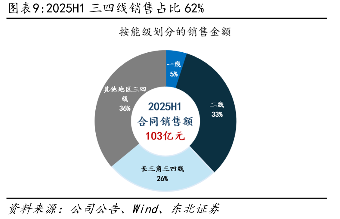 2025H1长三角销售占比34%_第3页