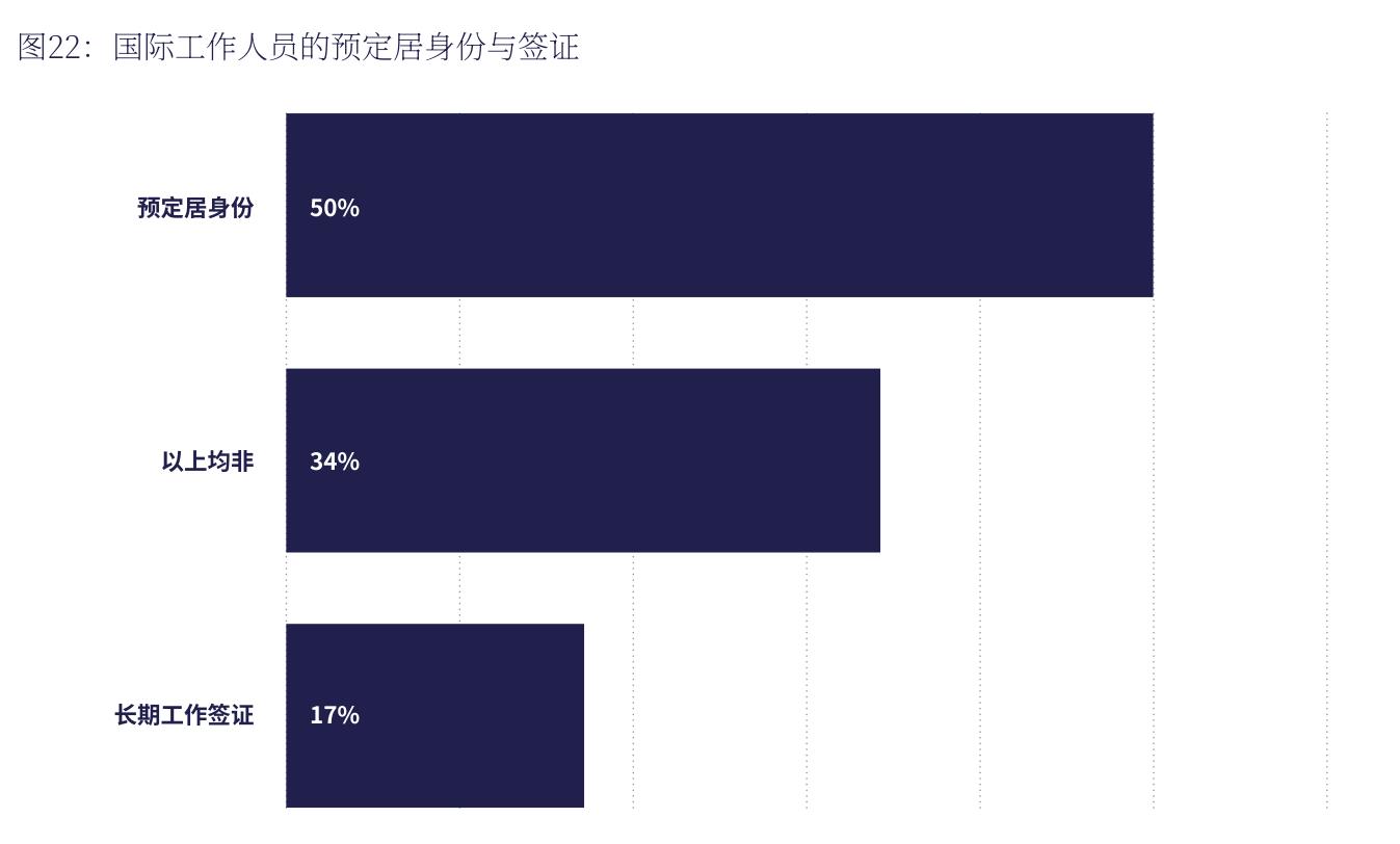 图22：国际工作人员的预定居身份与签证