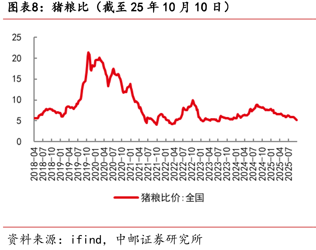 山东烟台毛鸡收购价（截至25年10月11日）_第5页