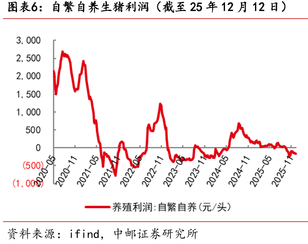 申万农林牧渔指数及主要证券综合指数表现（数据截至2025年12月12日）_第5页