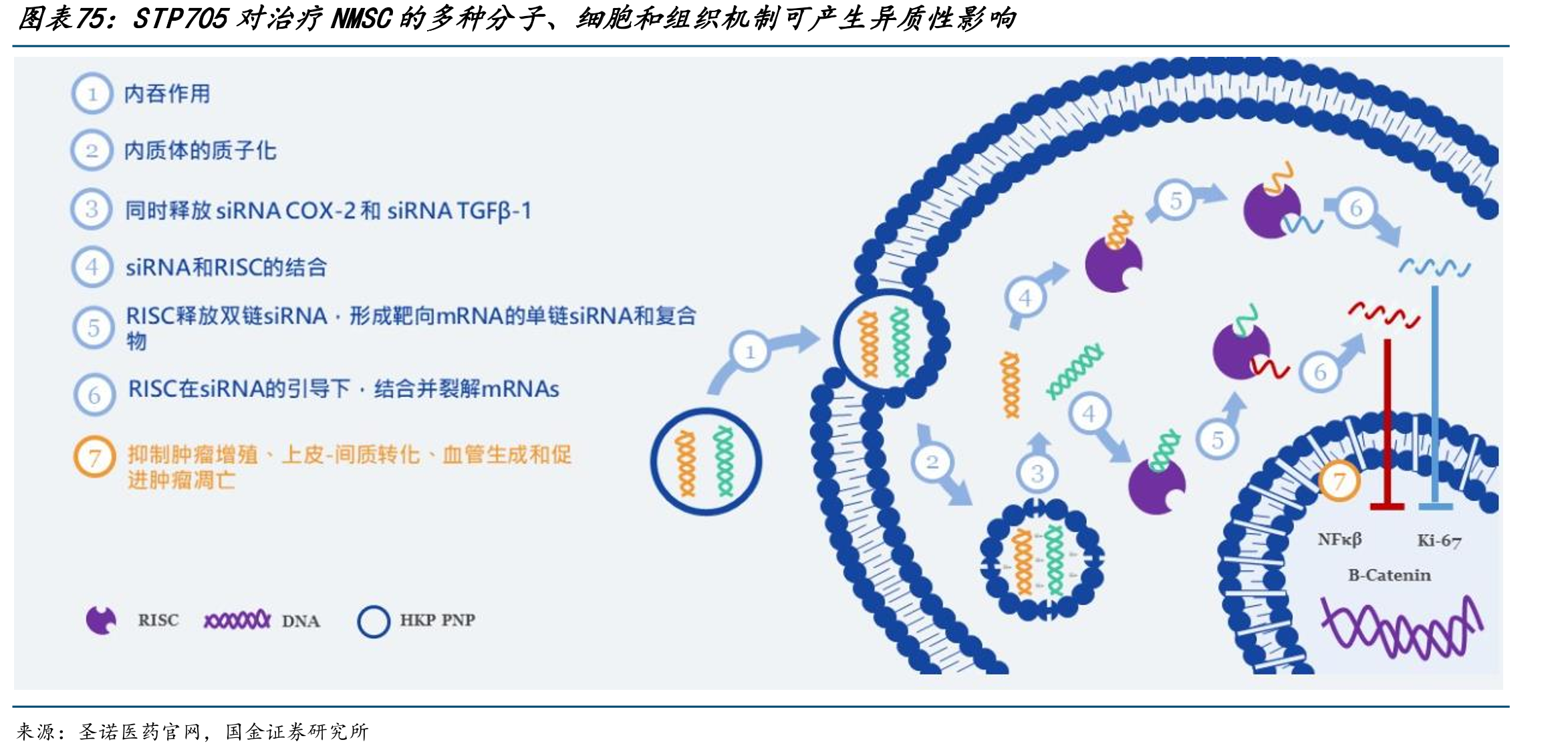 19-20年投融资高峰助力近些年全球小核酸临_第5页