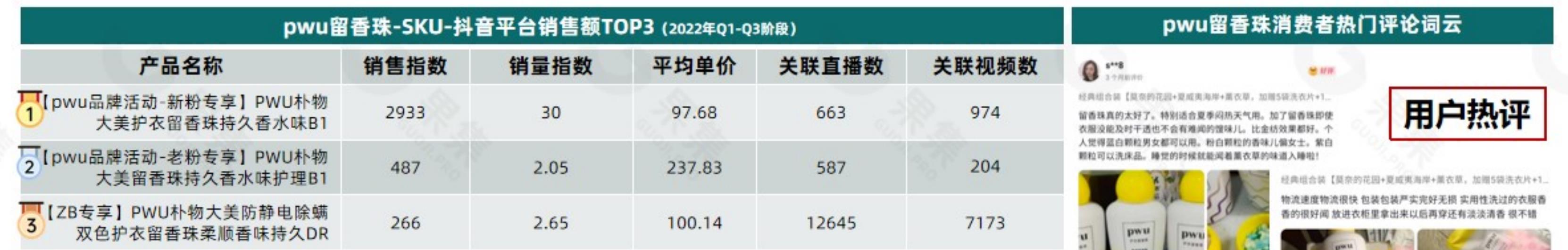 洗衣凝珠品类-T0P10品牌-市场份额_第2页