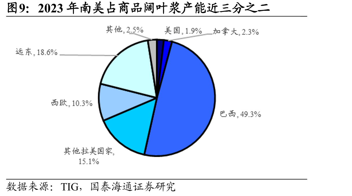 2023年南美占商品阔叶浆产能近三分之二