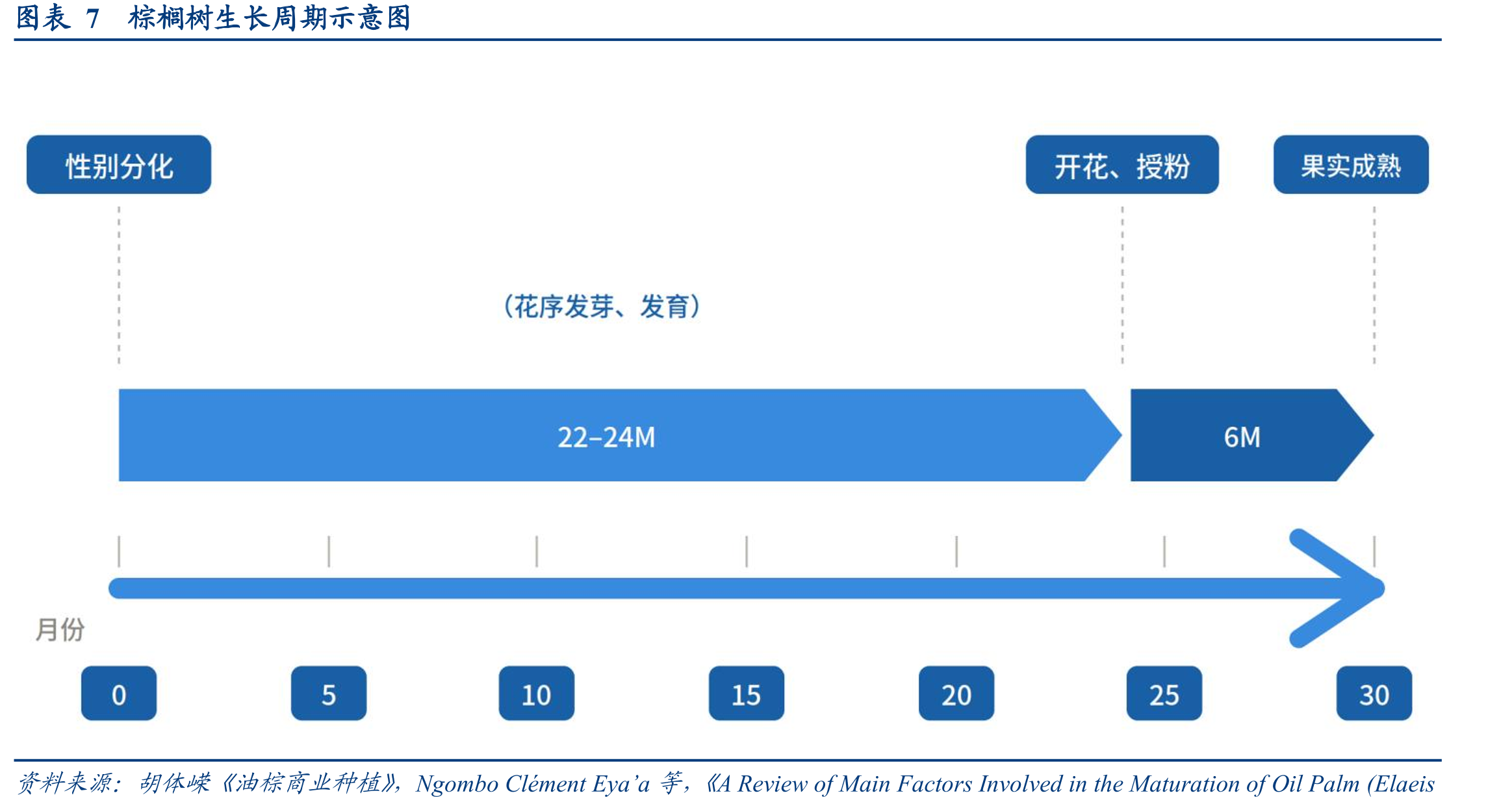图表352023年印度食品CPI同比升高_第4页